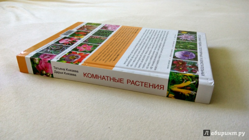 Иллюстрация 3 из 13 для Комнатные растения - Князева, Князева | Лабиринт - книги. Источник: Гиззатуллин  Рушан