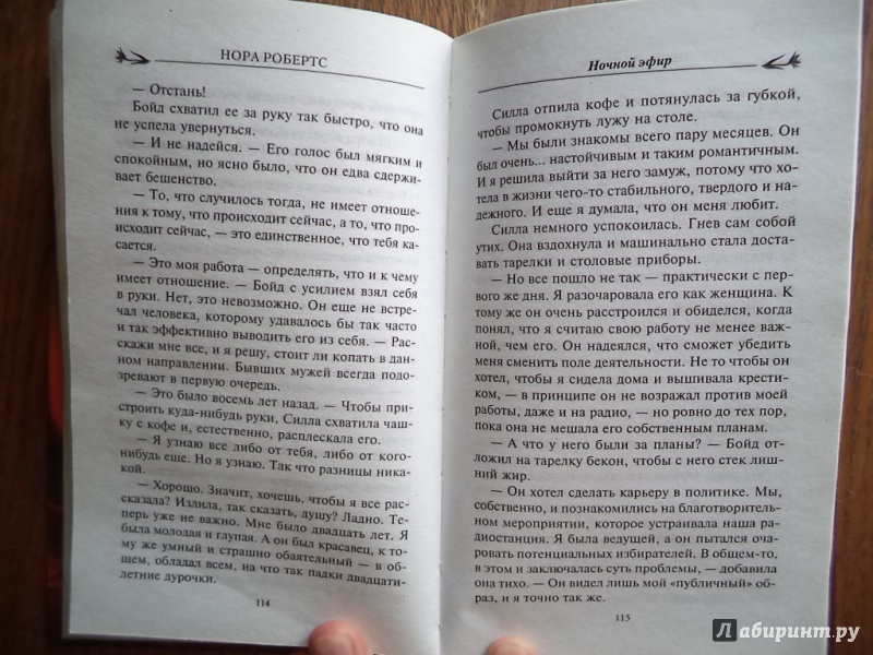 Иллюстрация 13 из 28 для Ночной эфир - Нора Робертс | Лабиринт - книги. Источник: Kirill  Badulin