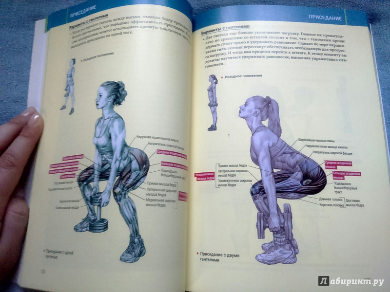Иллюстрация 15 из 85 для Анатомия силовых тренировок для женщин - Делавье, Гандил | Лабиринт - книги. Источник: Ефремова  Ксения
