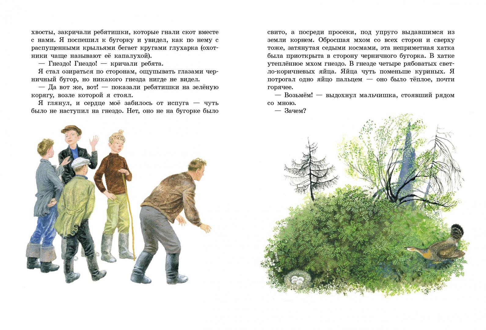 Иллюстрация 9 из 75 для В тайге, у Енисея - Виктор Астафьев | Лабиринт - книги. Источник: Издательство  Стрекоза