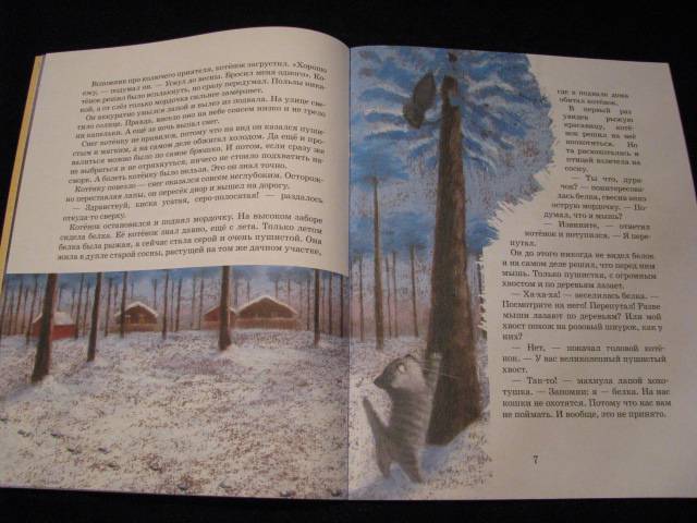 Иллюстрация 41 из 50 для Зимняя сказка - Екатерина Каретникова | Лабиринт - книги. Источник: Nemertona