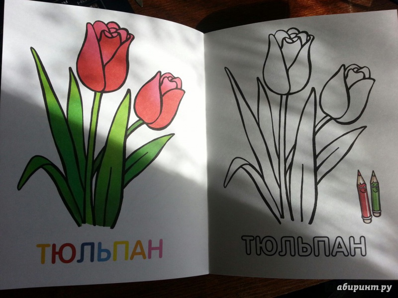 Иллюстрация 24 из 33 для Раскраска для малышей "Цветы" | Лабиринт - книги. Источник: Folgaa