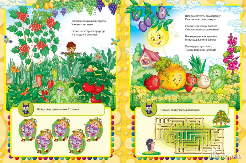Иллюстрация 2 из 4 для Что растет во саду ли, в огороде - Сергей Гордиенко | Лабиринт - книги. Источник: Лиля