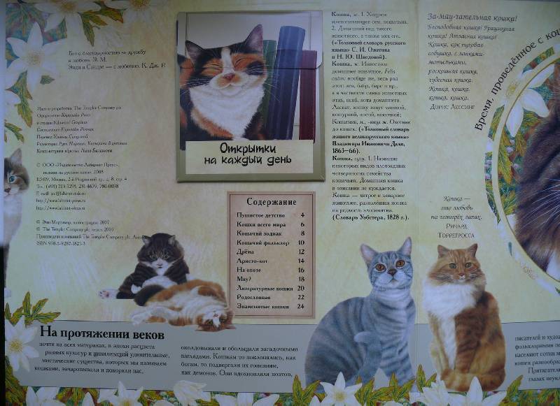 Иллюстрация 12 из 32 для Кошки. И ничего, кроме кошек. Самая правильная книга | Лабиринт - книги. Источник: Аврора