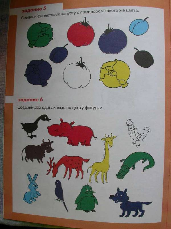 Иллюстрация 10 из 15 для И цвет, и форма, и размер - Ксения Крот | Лабиринт - книги. Источник: САР