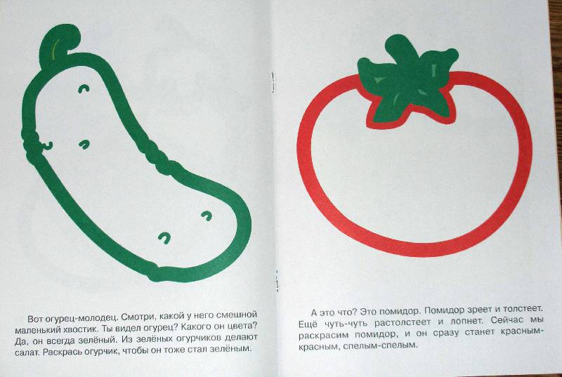 Иллюстрация 10 из 11 для Овощи | Лабиринт - книги. Источник: Oleo