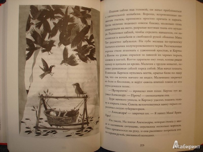 Иллюстрация 9 из 27 для Дикий лес - Колин Мэлой | Лабиринт - книги. Источник: Сорокина  Лариса