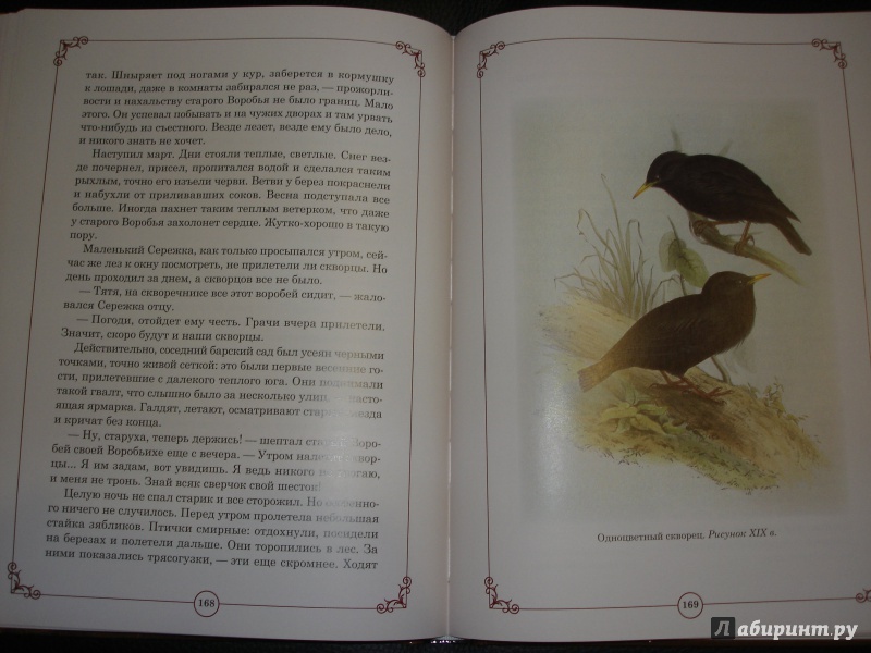 Иллюстрация 5 из 9 для Аленушкины сказки - Дмитрий Мамин-Сибиряк | Лабиринт - книги. Источник: Al_Squirrel