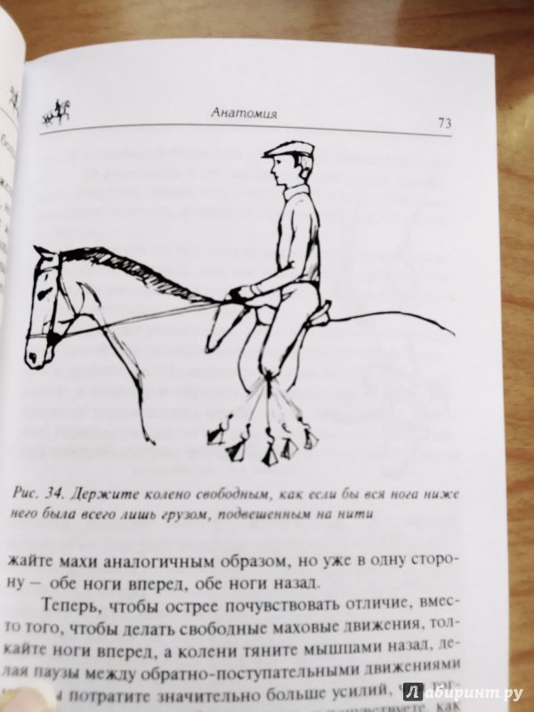 Иллюстрация 19 из 19 для Как достичь совершенства в верховой езде. Навыки центрированной верховой езды - Салли Свифт | Лабиринт - книги. Источник: Valery