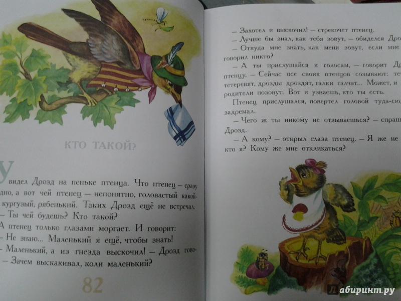 Иллюстрация 8 из 48 для Сказки про животных - Паустовский, Бианки, Заходер | Лабиринт - книги. Источник: Olga