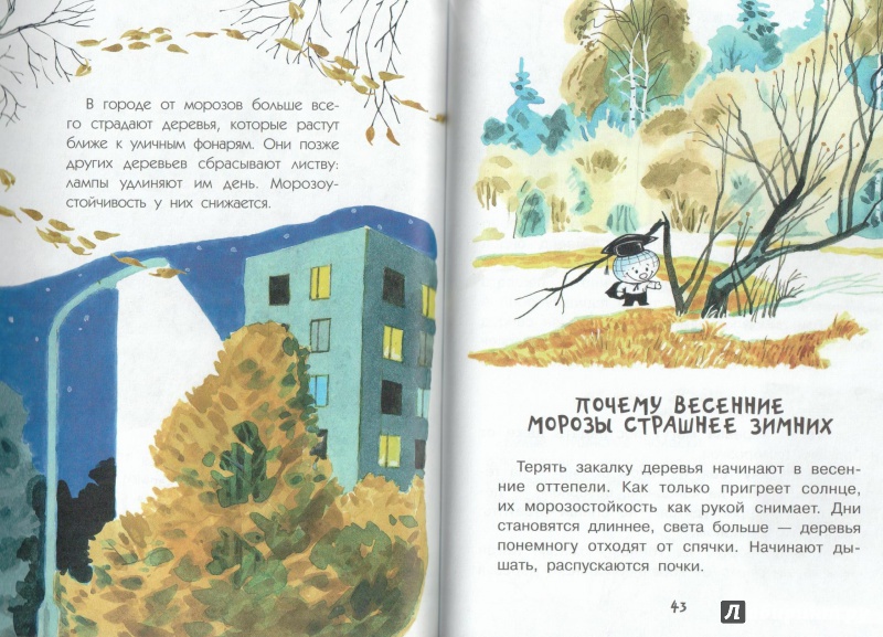 Иллюстрация 23 из 50 для Почему осенью листопад? - Георгий Граубин | Лабиринт - книги. Источник: Книжный кот