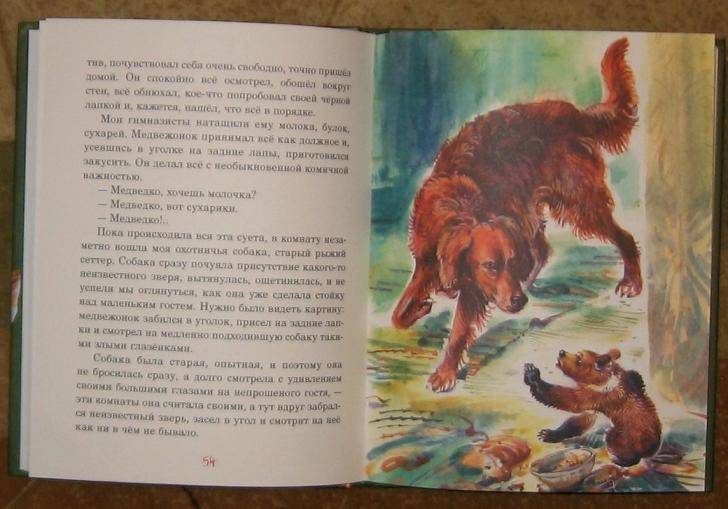 Иллюстрация 20 из 36 для Рассказы старого охотника - Дмитрий Мамин-Сибиряк | Лабиринт - книги. Источник: акка