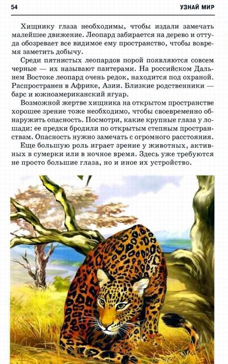 Иллюстрация 29 из 32 для Млекопитающие. Школьный путеводитель - Марк Махлин | Лабиринт - книги. Источник: Panterra