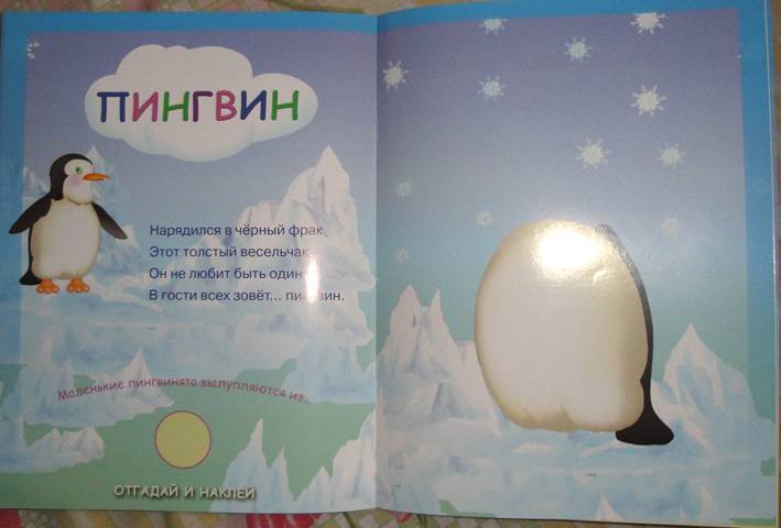 Иллюстрация 12 из 12 для Загадочные наклейки. Северные животные - Бурмистрова, Мороз | Лабиринт - книги. Источник: АннаЛ