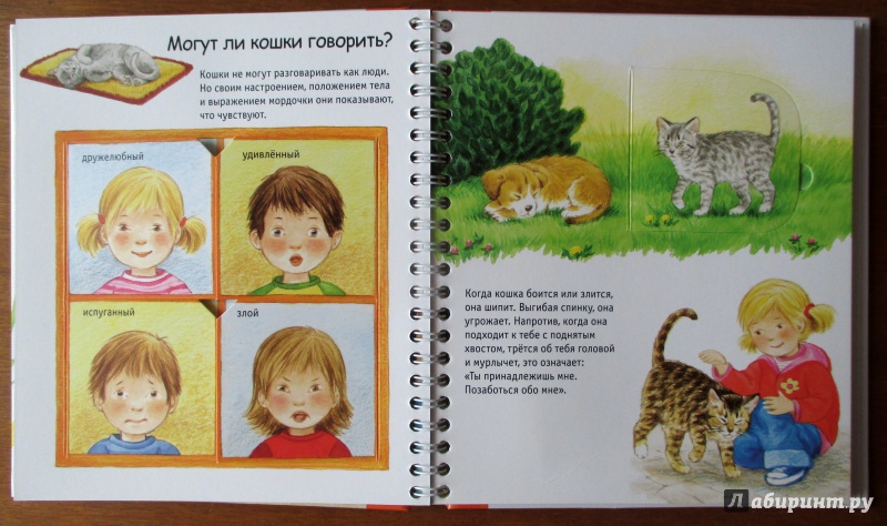 Иллюстрация 7 из 32 для Кошки - Патрисия Меннен | Лабиринт - книги. Источник: Etaine