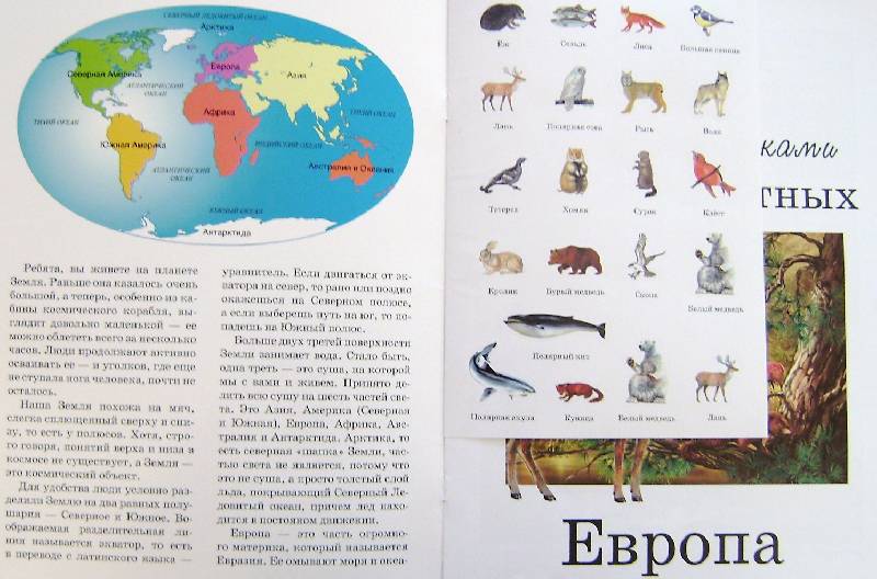 Иллюстрация 1 из 4 для В мире животных: Европа - Игорь Куберский | Лабиринт - книги. Источник: BOOKвочка