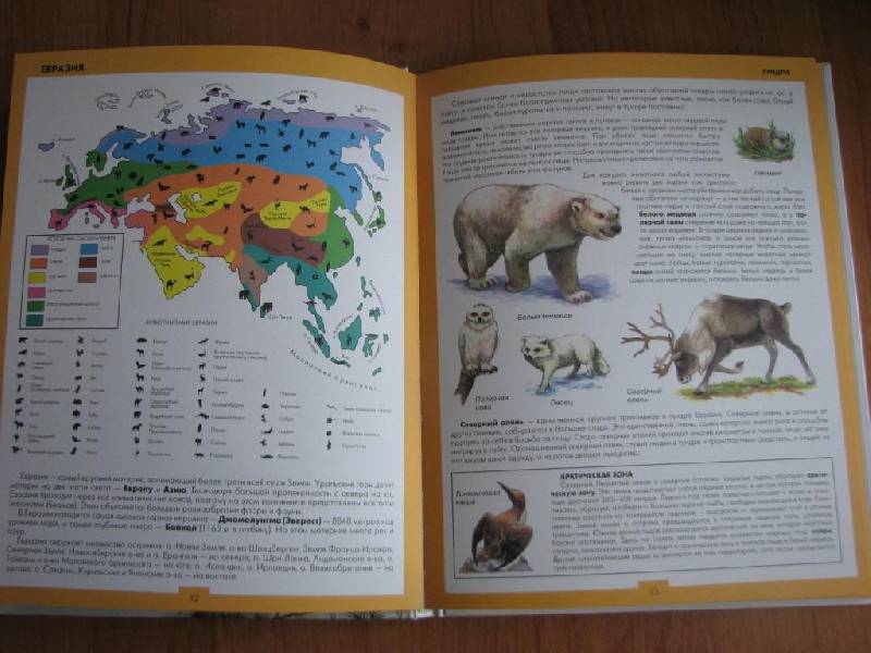Иллюстрация 4 из 31 для Атлас животных | Лабиринт - книги. Источник: москвичка