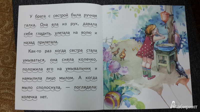 Иллюстрация 6 из 22 для Галка - Борис Житков | Лабиринт - книги. Источник: ИринаИ