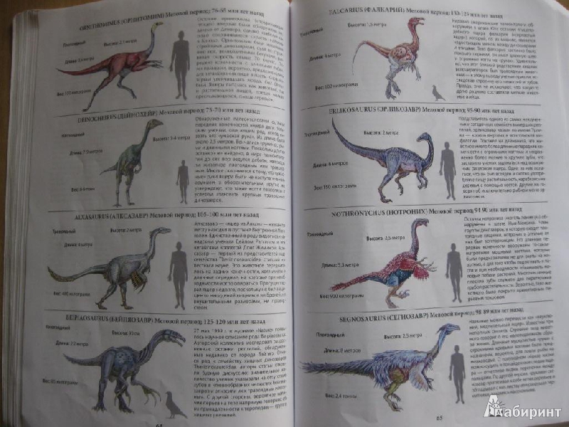 Иллюстрация 12 из 14 для Все о динозаврах | Лабиринт - книги. Источник: Чешева  Олеся