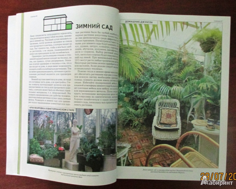 Иллюстрация 2 из 22 для Все о комнатных растениях - Дэвид Хессайон | Лабиринт - книги. Источник: Ольга1981
