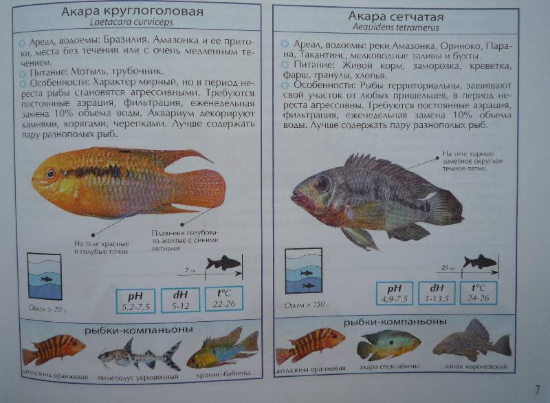 Иллюстрация 10 из 16 для Все о самых популярных аквариумных рыбках. Атлас-справочник | Лабиринт - книги. Источник: Igra