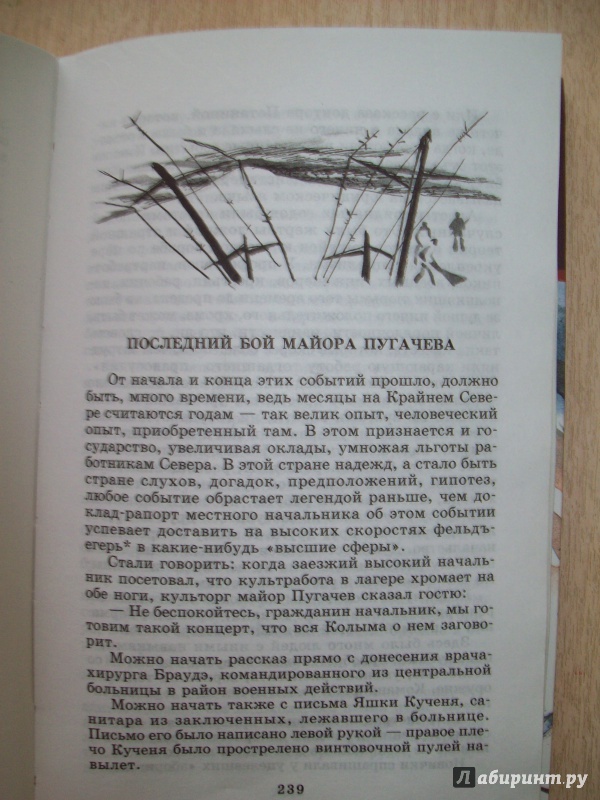 Иллюстрация 14 из 29 для Колымские рассказы - Варлам Шаламов | Лабиринт - книги. Источник: КошкаПолосатая