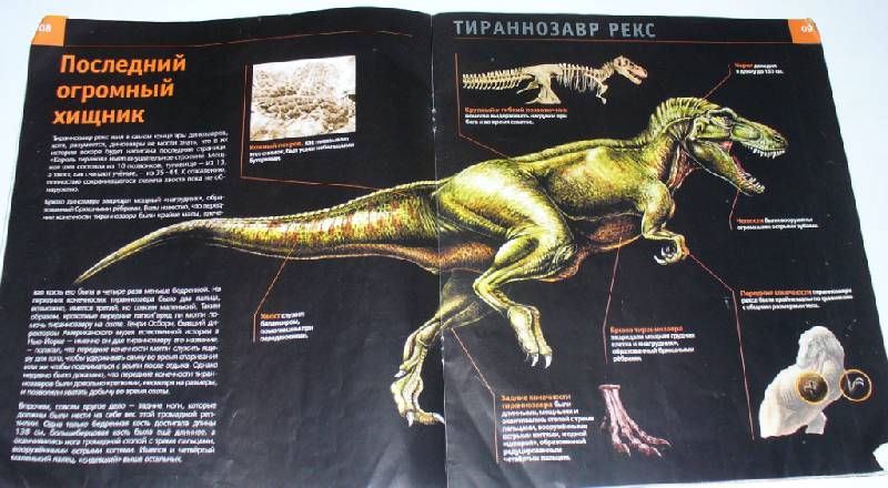 Иллюстрация 5 из 5 для Мир динозавров №2 | Лабиринт - книги. Источник: Лебедева  Мария Александровна