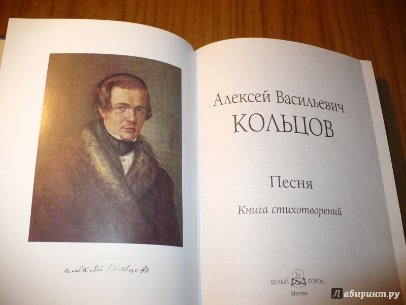 Иллюстрация 15 из 41 для Песня. Книга стихотворений - Алексей Кольцов | Лабиринт - книги. Источник: Голиков  Сергей Юрьевич