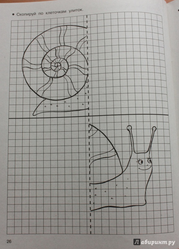 Иллюстрация 29 из 34 для Рисуем по клеточкам и точкам | Лабиринт - книги. Источник: Воробышек