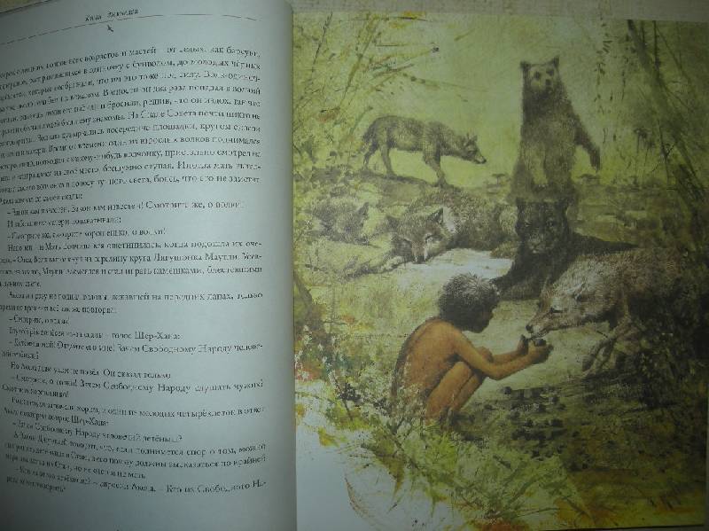 Иллюстрация 126 из 164 для Книга джунглей - Редьярд Киплинг | Лабиринт - книги. Источник: Мартынова  Анна Владимировна