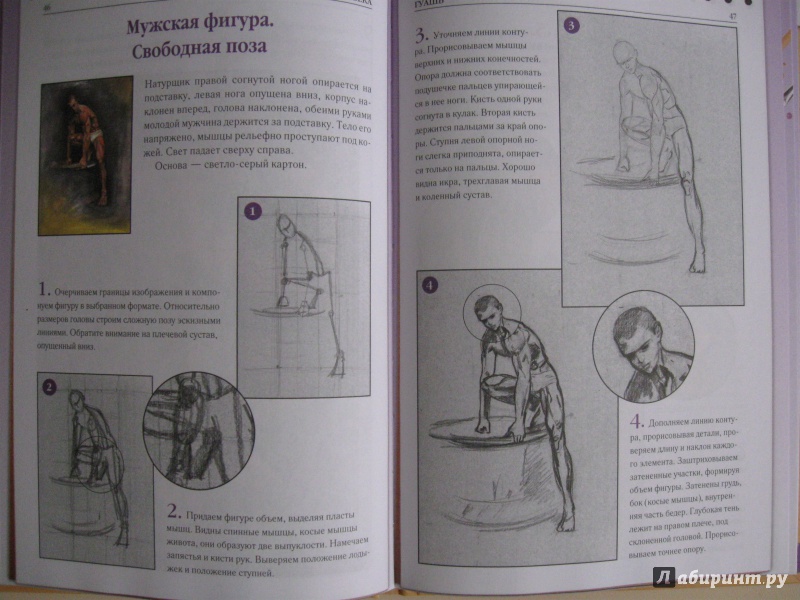 Иллюстрация 13 из 17 для Рисуем фигуру человека - Алла Марковская | Лабиринт - книги. Источник: В.