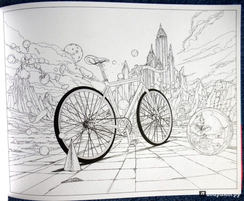 Иллюстрация 67 из 88 для Вокруг света на велосипеде. Раскраска-путешествие на край земли - Дзян Шань | Лабиринт - книги. Источник: reader*s