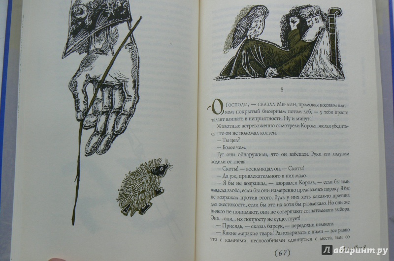 Иллюстрация 35 из 36 для Король былого и грядущего. Книга Мерлина - Теренс Уайт | Лабиринт - книги. Источник: Марина