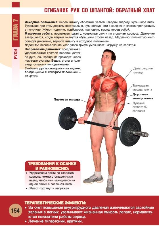 Иллюстрация 11 из 55 для Анатомия физических упражнений - Михаил Ингерлейб | Лабиринт - книги. Источник: Joker