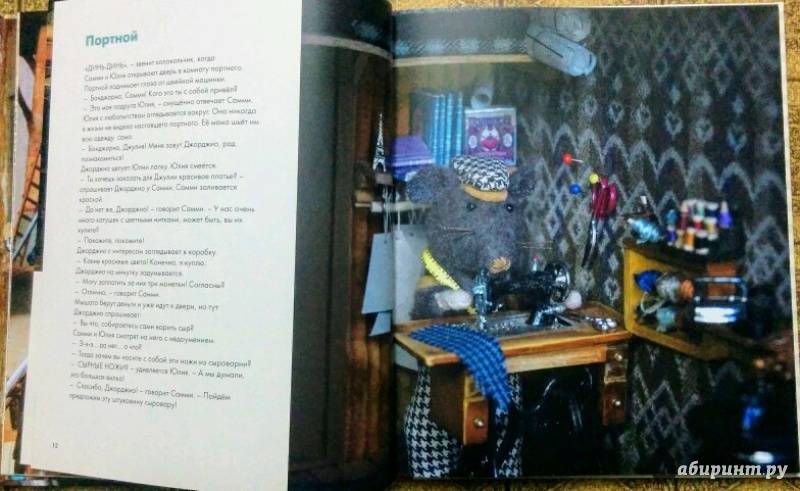 Иллюстрация 24 из 36 для Мышкин дом. Самми и Юлия в парке развлечений - Карина Схапман | Лабиринт - книги. Источник: Natalie Leigh