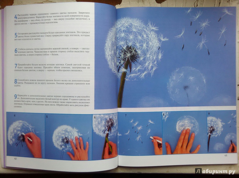 Иллюстрация 2 из 12 для Рисование цветов от бутона до листьев - Анне Пипер | Лабиринт - книги. Источник: Арбузова Светлана