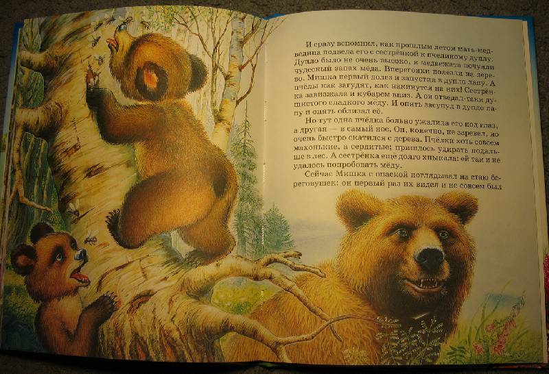 Иллюстрация 14 из 22 для Сказки о природе - Виталий Бианки | Лабиринт - книги. Источник: В  Светлана Е
