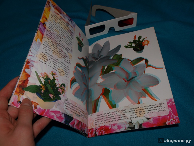 Иллюстрация 6 из 16 для Цветы. 3D | Лабиринт - книги. Источник: Matildochka