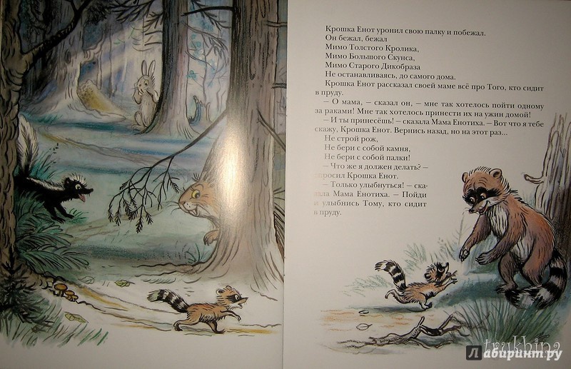 Иллюстрация 64 из 97 для Крошка Енот и тот, кто сидит в пруду - Лилиан Муур | Лабиринт - книги. Источник: Трухина Ирина