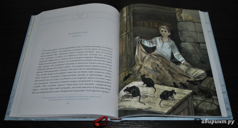 Иллюстрация 55 из 58 для Морской волчонок - Рид Майн | Лабиринт - книги. Источник: Марисабель