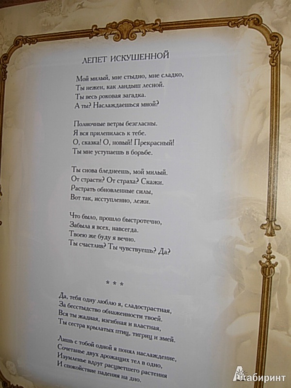 Иллюстрация 17 из 28 для Нескромные стихи - Кожевников, Линдберг | Лабиринт - книги. Источник: Читательница.