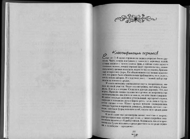 Иллюстрация 33 из 38 для Полезные свойства сорняков - Нелли Кислова | Лабиринт - книги. Источник: Юта