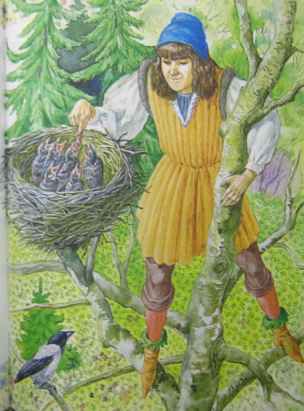 Иллюстрация 14 из 33 для Красавица и чудовище: Сказки народов мира | Лабиринт - книги. Источник: Спанч Боб