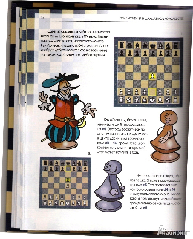 Иллюстрация 24 из 25 для Приключения в шахматном королевстве - Халас, Геци | Лабиринт - книги. Источник: Матуля