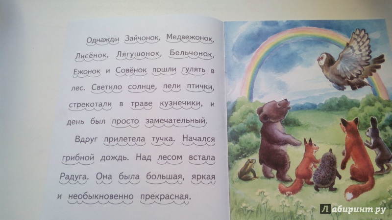 Иллюстрация 8 из 11 для Вкусная радуга - Елена Ермолова | Лабиринт - книги. Источник: Косова  Мария