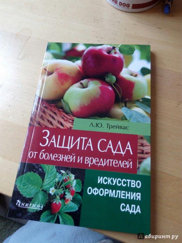 Иллюстрация 2 из 5 для Защита сада от болезней и вредителей. Искусство оформления сада - Любовь Трейвас | Лабиринт - книги. Источник: Задов  Александр