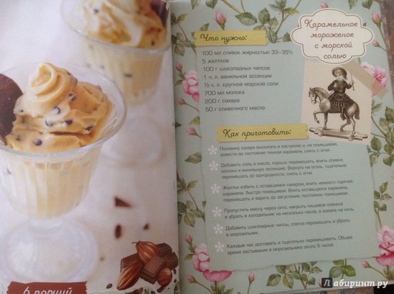 Иллюстрация 10 из 20 для Домашнее мороженое - Савинова, Жук | Лабиринт - книги. Источник: Буднева  Анна