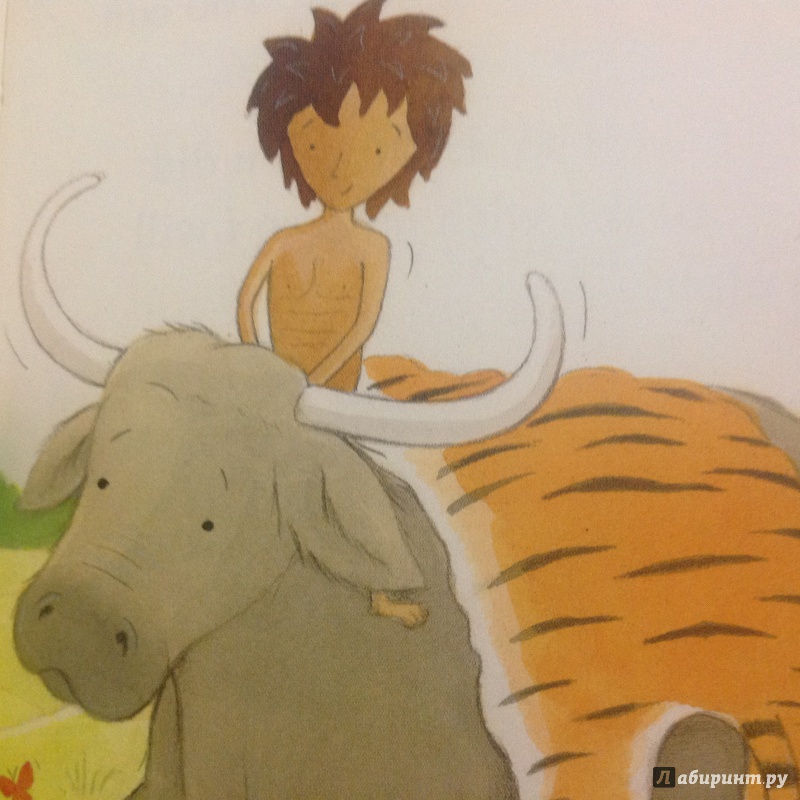 Иллюстрация 12 из 21 для The Jungle Book - Jillian Powell | Лабиринт - книги. Источник: Sage Tea