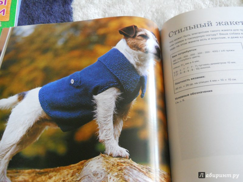Иллюстрация 16 из 17 для Пальто, кардиганы свитера. Стильная одежда для собак - Анна Тильман | Лабиринт - книги. Источник: kosolapiki