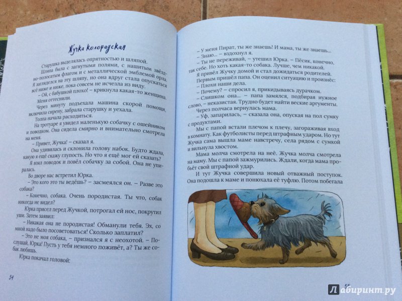 Иллюстрация 10 из 40 для Воробьи в голове - Сергей Махотин | Лабиринт - книги. Источник: Ольга